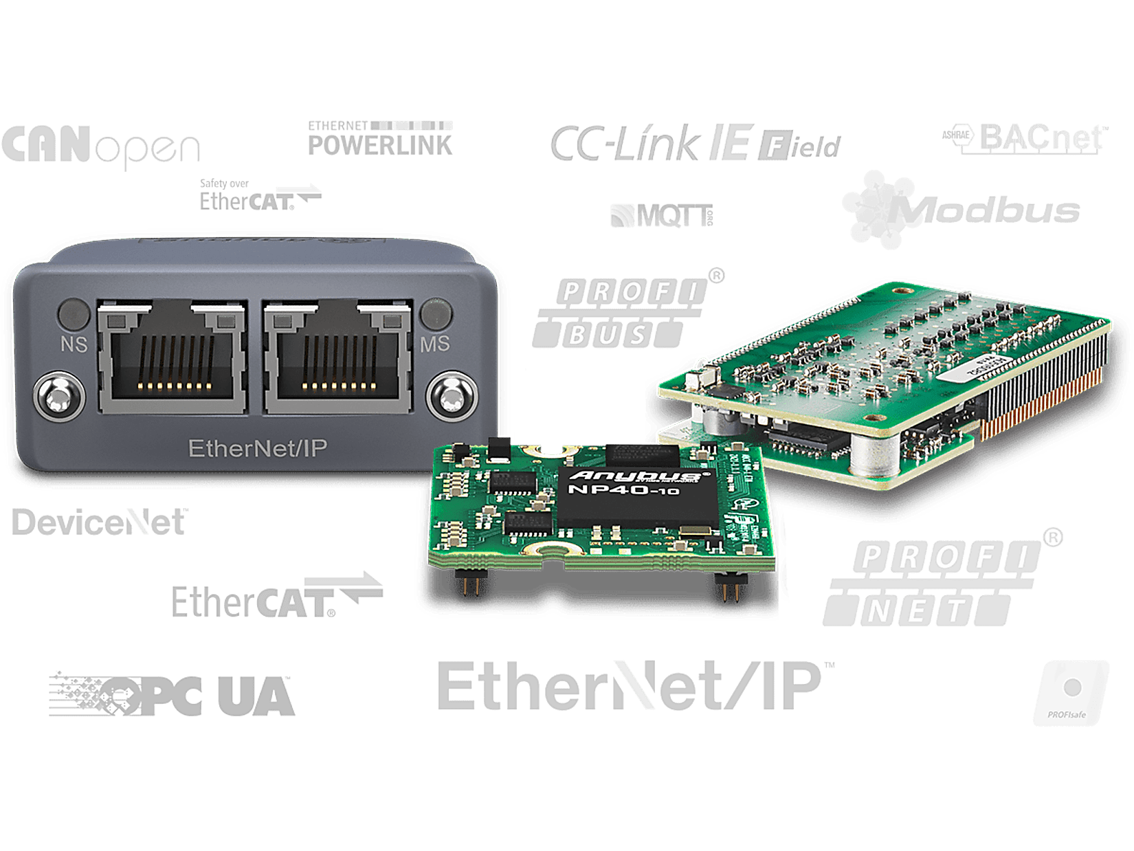 embedded-family-with-networks