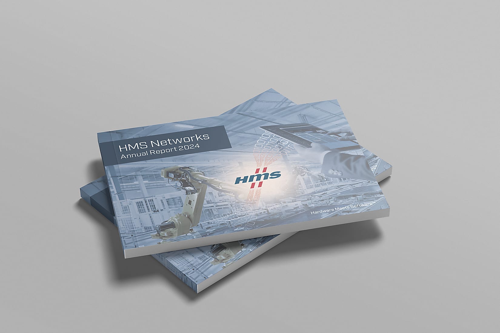 Annual_report-2024
