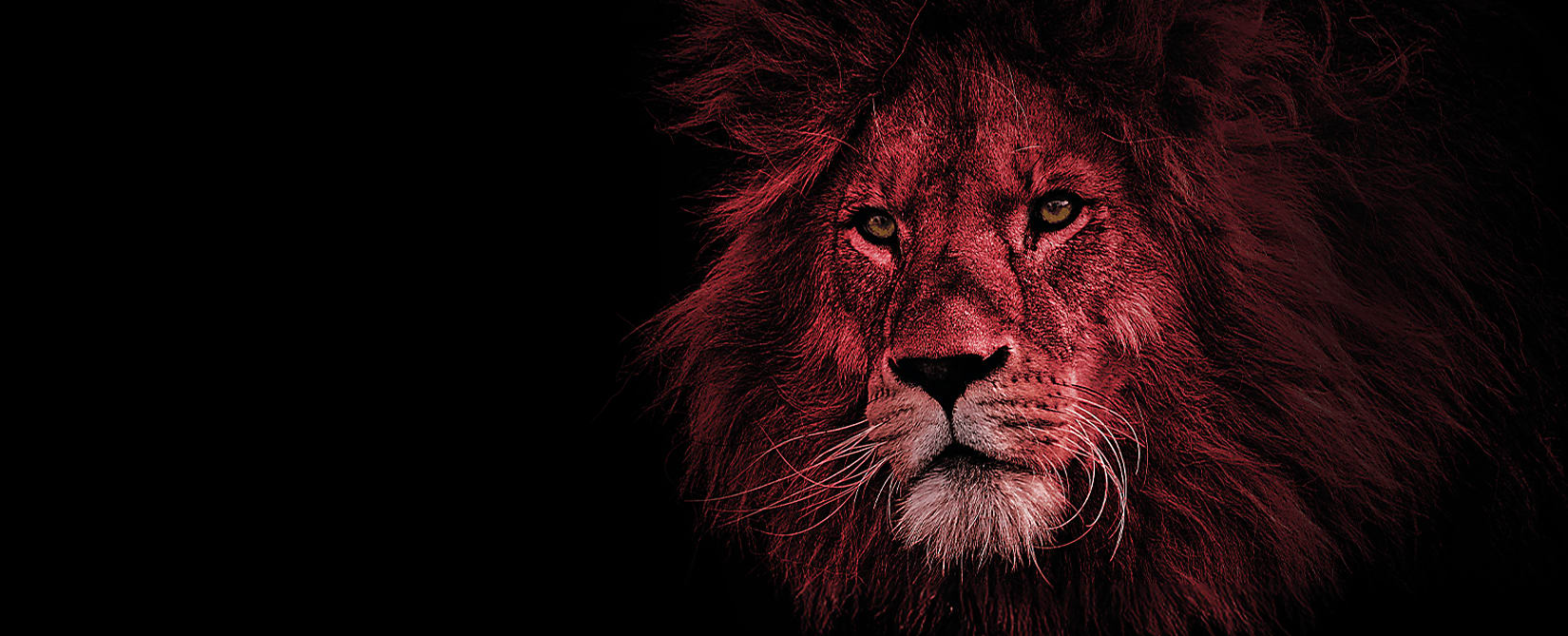 Red_Lion_website_banner