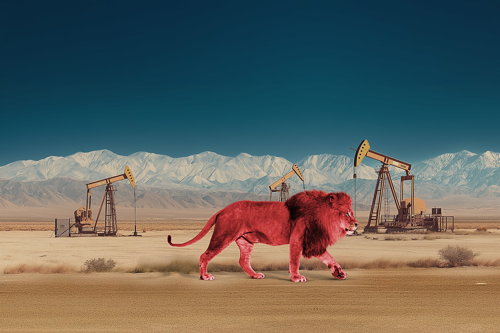 Lion_in_places_Pumps