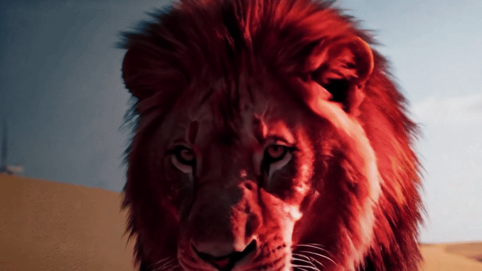 Red_Lion_website_banner_2