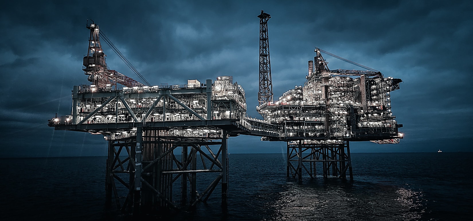 shutterstock_2348824845