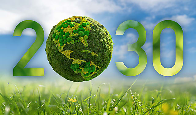 shutterstock_2249754151